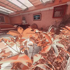 Bed & Breakfast Gato Negro, Cuenca